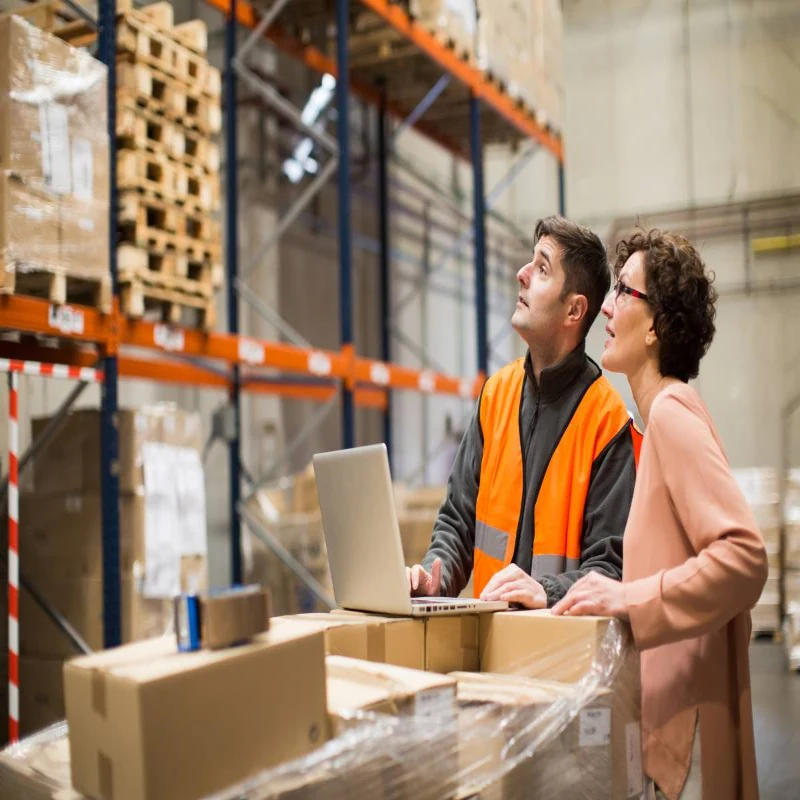 Sample Evaluation and Consolidation Services