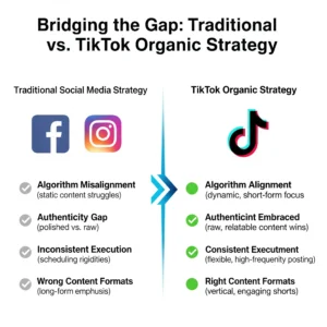  TikTok Organic Strategy Gap 