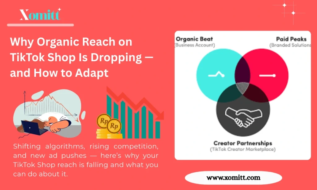 TikTok Organic Strategies